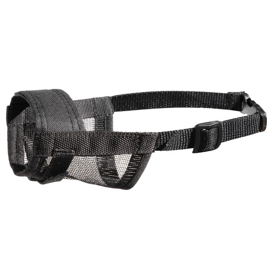 Изображение на странице