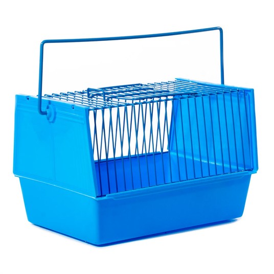 Изображение на странице