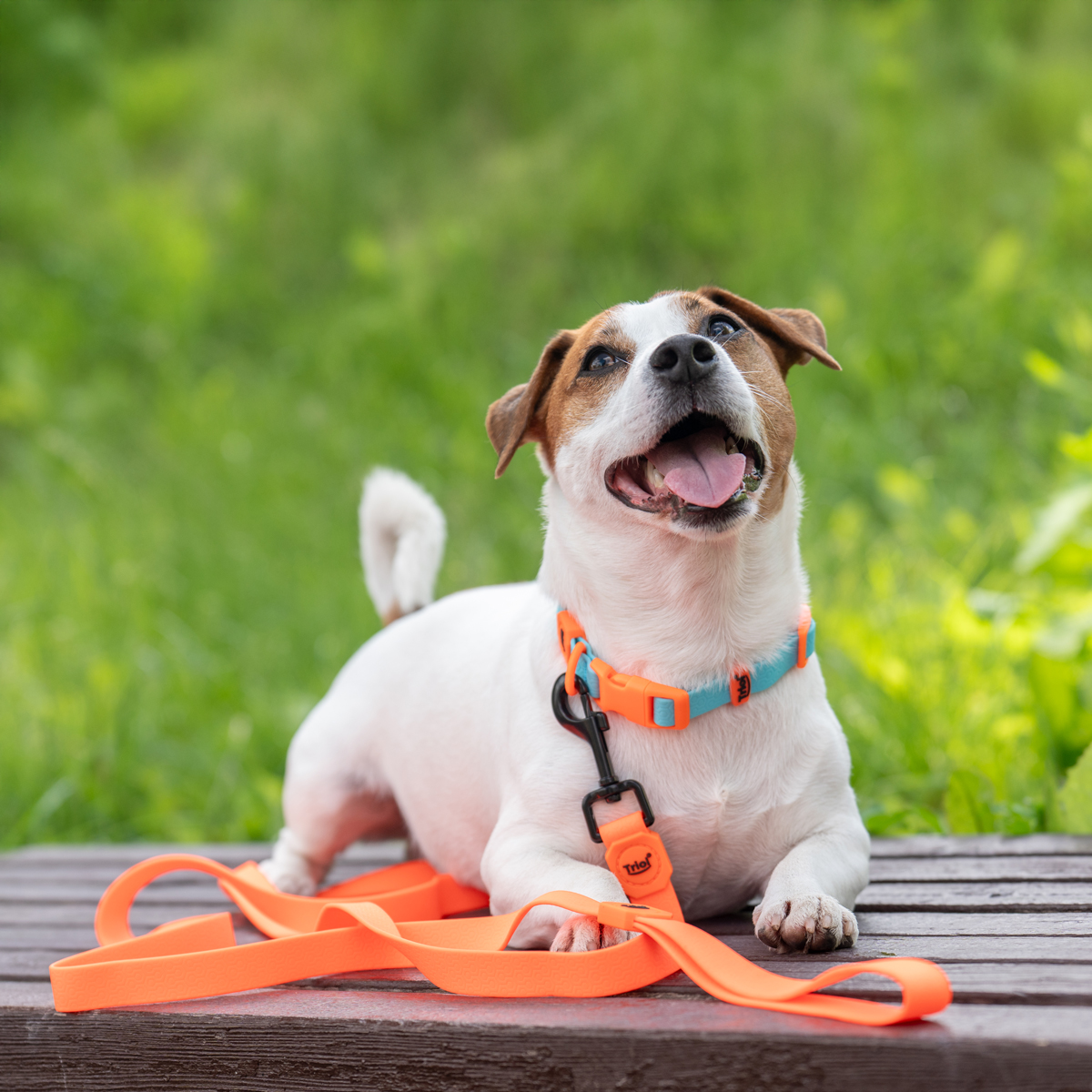 Изображение на странице