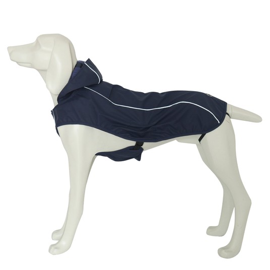 Изображение на странице