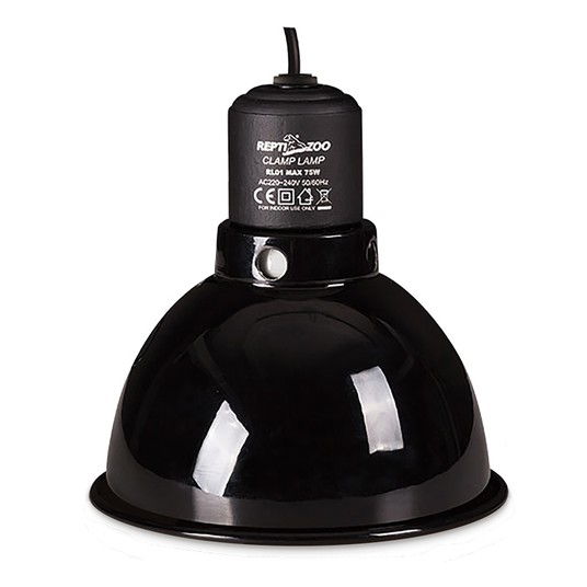 Изображение на странице