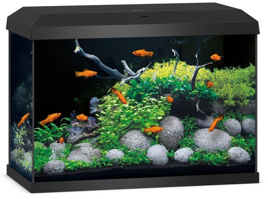 Аквариум прямоугольный с оборудованием Primo 70 LED 2.0, 70л, чёрный, 610*310*435мм