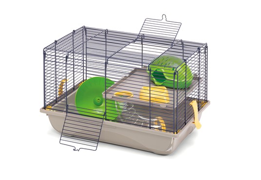 Изображение на странице