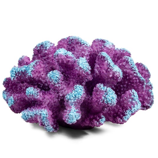 Изображение на странице