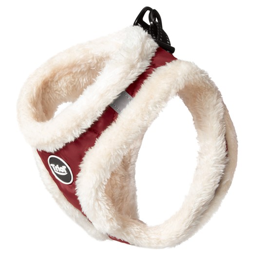 Изображение на странице