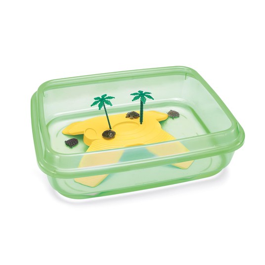 Изображение на странице