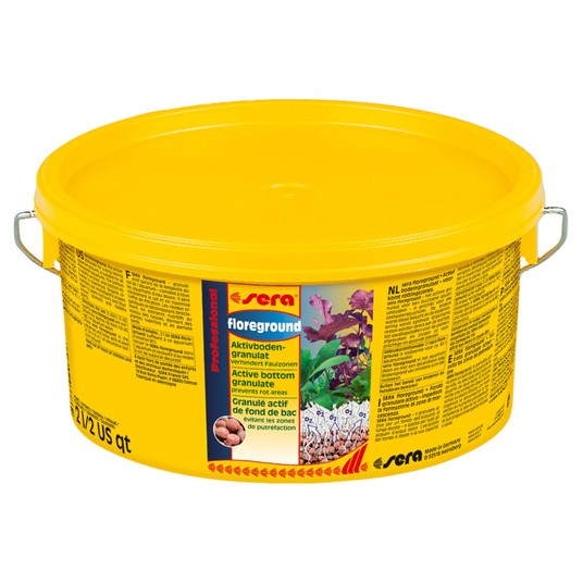 Изображение на странице