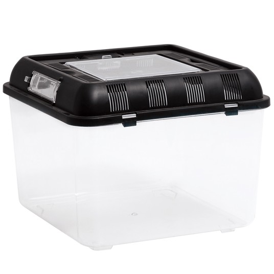 Изображение на странице