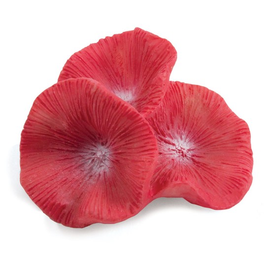 Изображение на странице