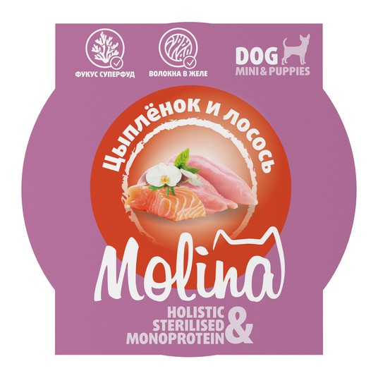 Изображение на странице