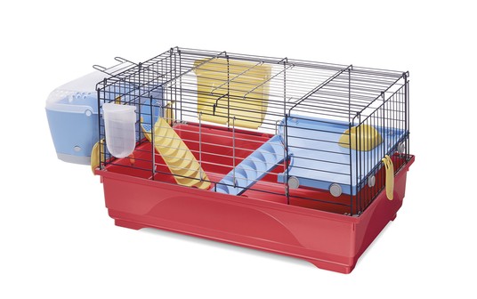 Изображение на странице