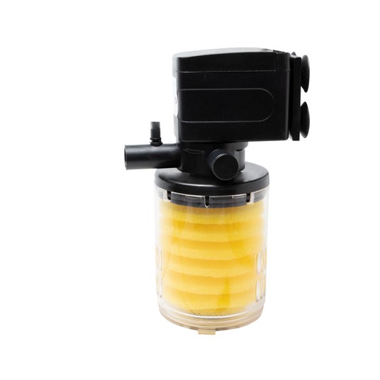 Изображение на странице