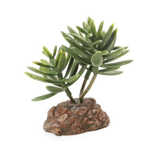 Изображение на странице