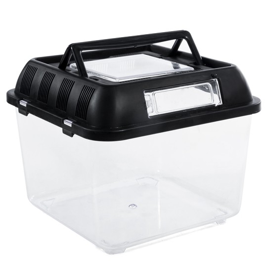 Изображение на странице