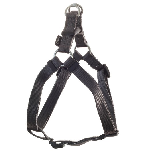 Изображение на странице