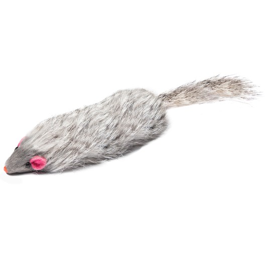 Изображение на странице