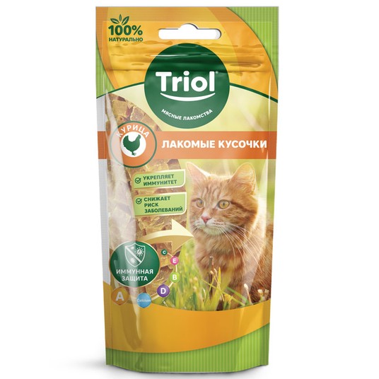 Изображение на странице