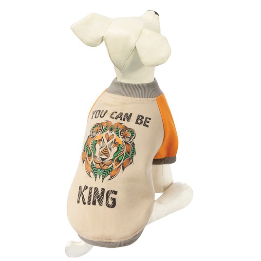 Изображение на странице