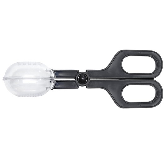 Изображение на странице