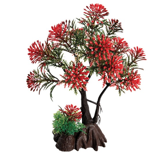 Изображение на странице