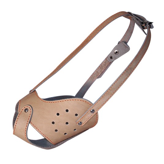 Изображение на странице