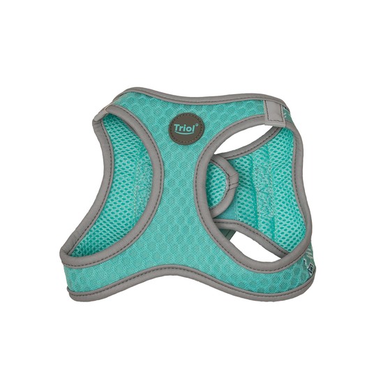 Изображение на странице