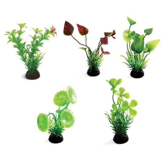 Изображение на странице