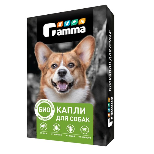 Изображение на странице