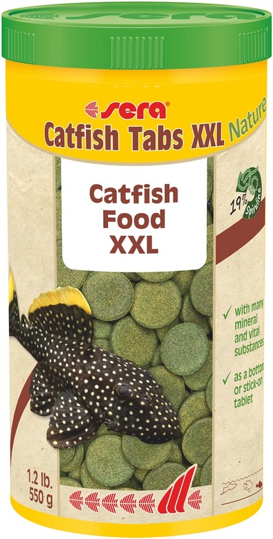 Изображение на странице