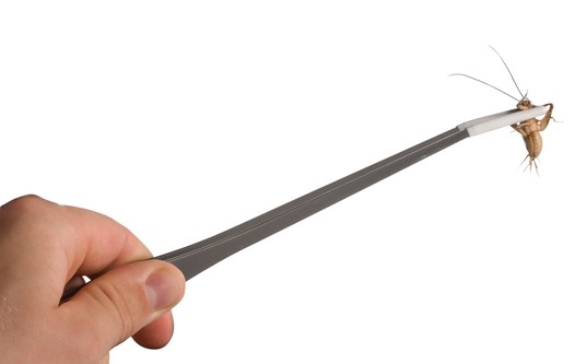 Изображение на странице