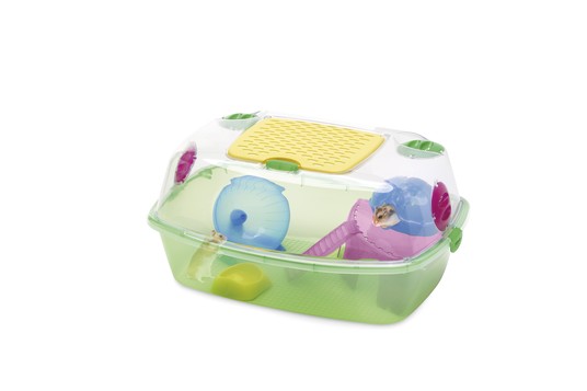 Изображение на странице