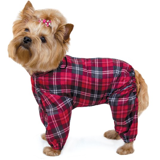 Изображение на странице