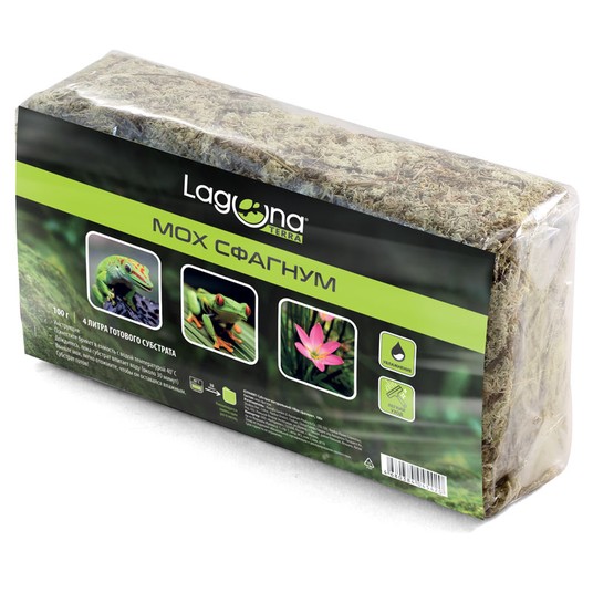 Изображение на странице