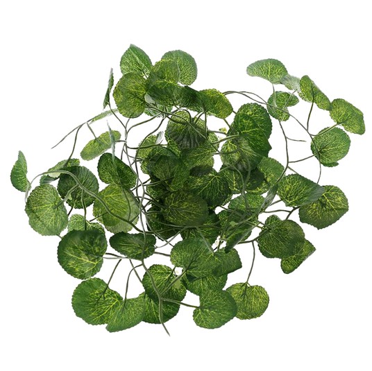 Изображение на странице