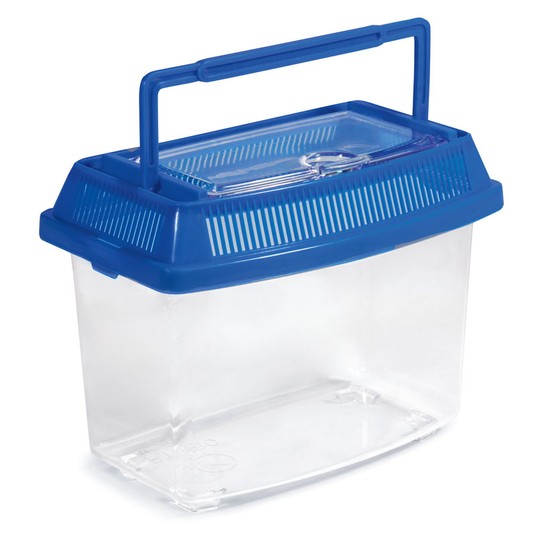 Изображение на странице