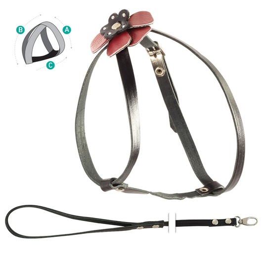 Изображение на странице