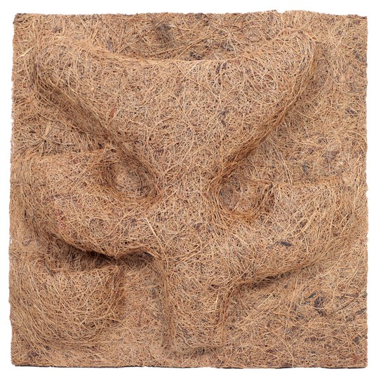 Изображение на странице