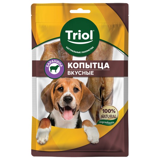 Изображение на странице