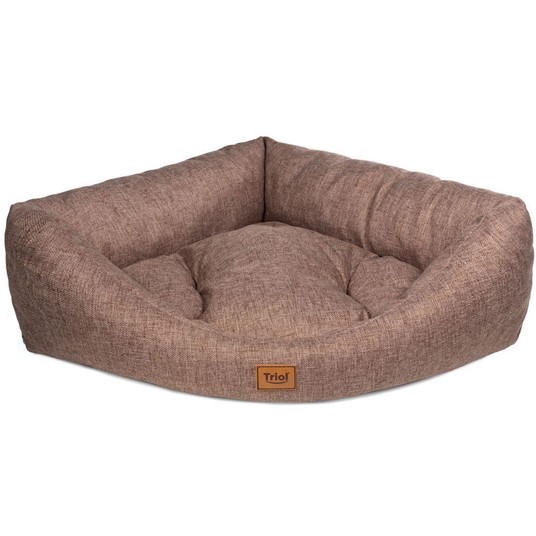 Изображение на странице