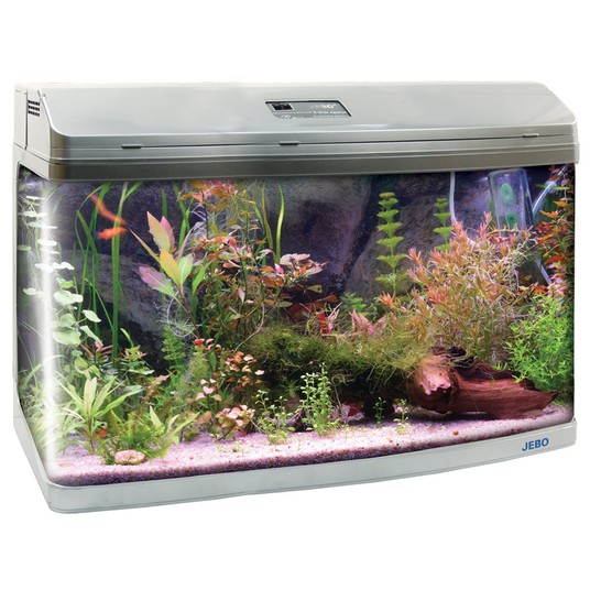 Изображение на странице