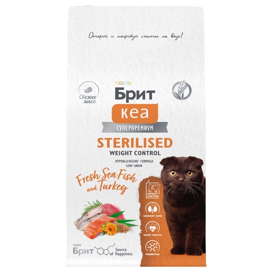 Изображение на странице