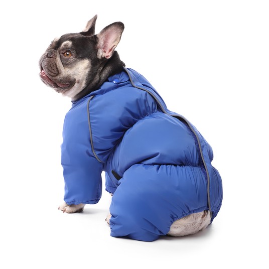 Изображение на странице