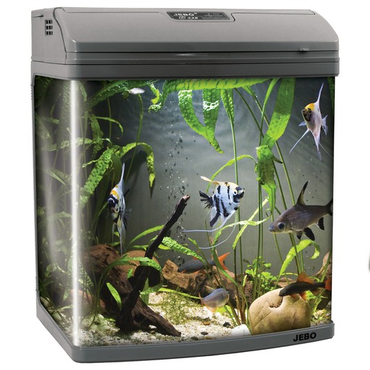 Изображение на странице