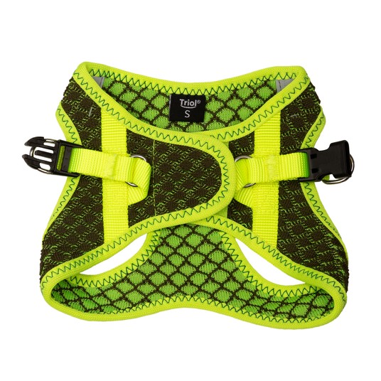 Изображение на странице