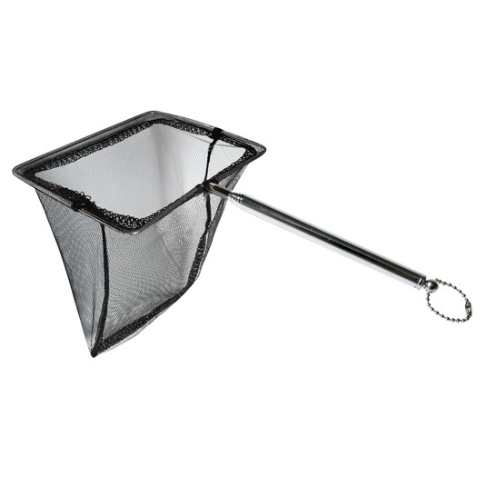 Изображение на странице