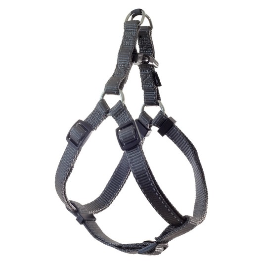 Изображение на странице