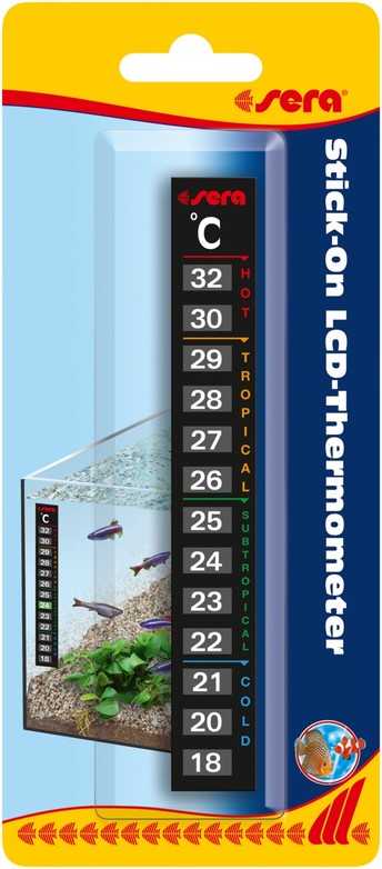 Изображение на странице