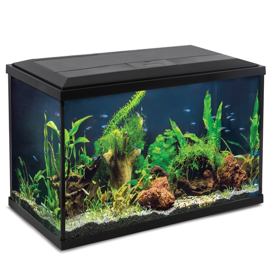 Изображение на странице