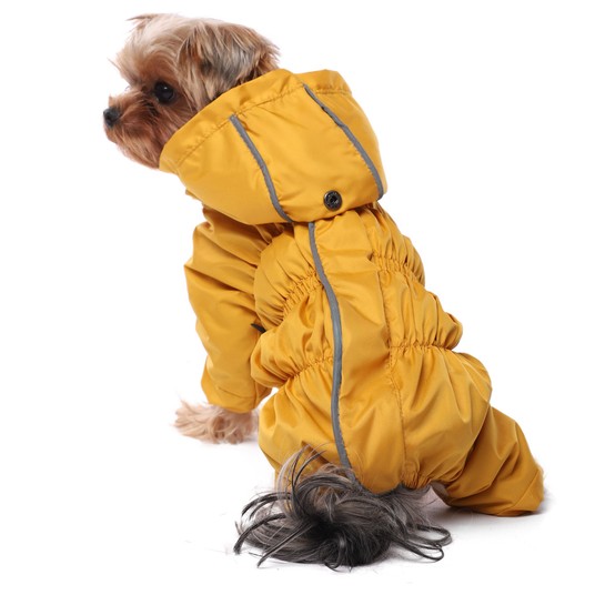 Изображение на странице