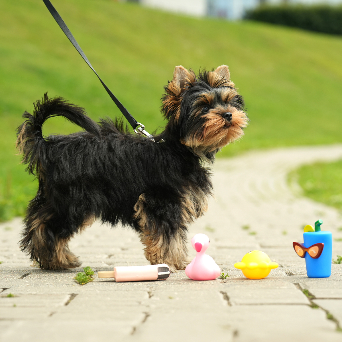 Игрушка для собак мелких пород "Солнышко", 60мм, серия MINI DOGS 2